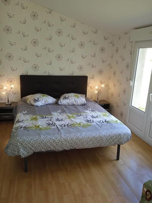St Malo Maison Avec Jardin Proche Gare Plage Intramuros Chien Admis Parking Gratuit 圣马洛 外观 照片