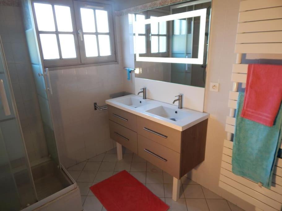St Malo Maison Avec Jardin Proche Gare Plage Intramuros Chien Admis Parking Gratuit 圣马洛 外观 照片