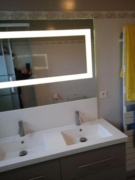 St Malo Maison Avec Jardin Proche Gare Plage Intramuros Chien Admis Parking Gratuit 圣马洛 外观 照片